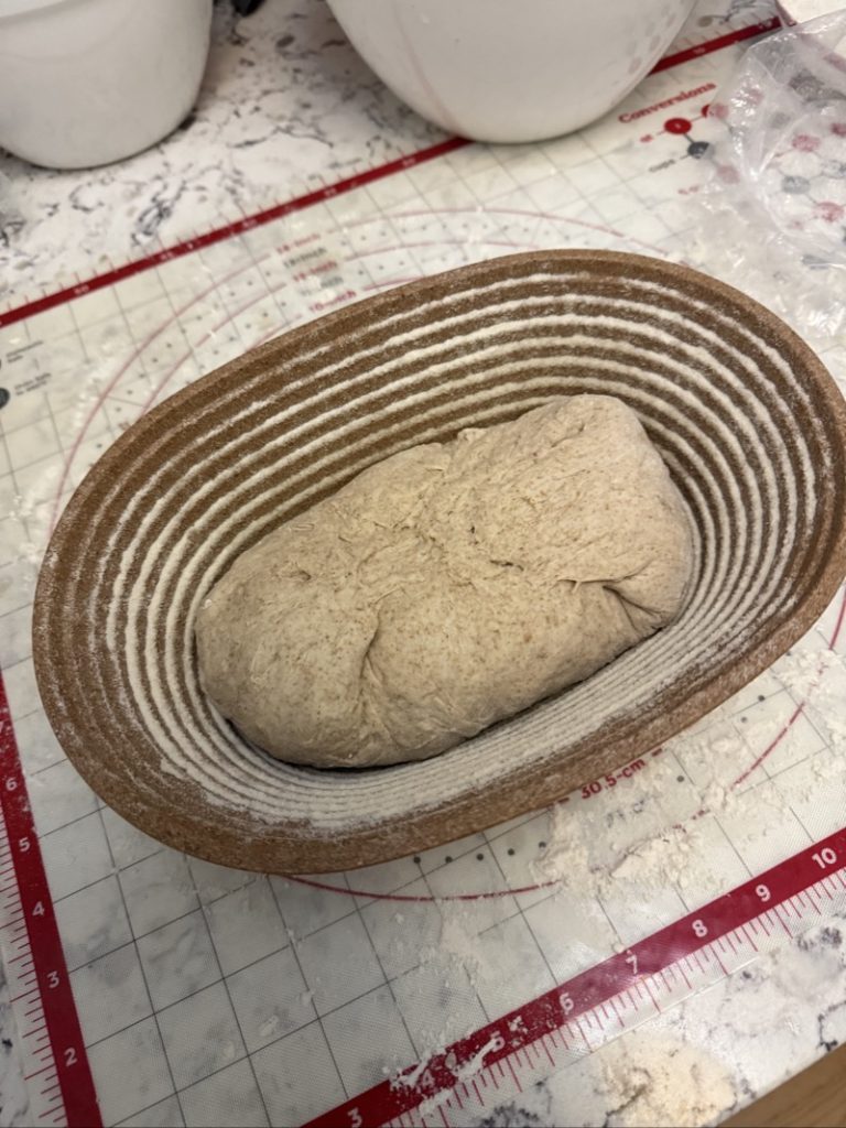 Sourdough loaf proofing in modern banneton